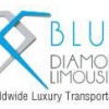 Blue Diamond Limo & Luxury