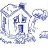 The Water Damage Experts