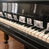 Heidi Saario Piano Studio