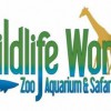 Wildlife World Zoo