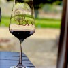 LXV Wine