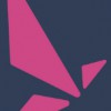 Nybdc Capital