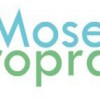 Moses Chiropractic