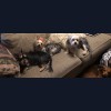 Resa's K-9 Salon