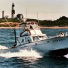 Blue Fin IV