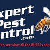 Expert Pest Control