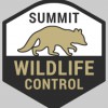Summit Wildlife Control