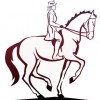 The Art Of Riding