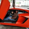 AutoVocity Transport