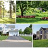 Best Lawn Care