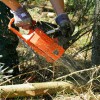 Music City Tree Service