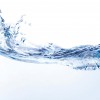Executive Pro-Dry Water, Sewage & Mold Remediation