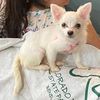 Family Animal Hospital Of Friendswood