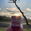 St. Ives RV Resort