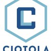 Ciotola Robert A