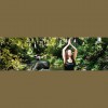 Health Is Wealth Yoga