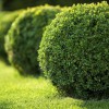 Gehret Nursery