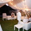 Rickys Party Rentals
