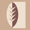 Door Creek Dental