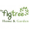 The Fig Tree