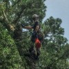 Cricket's Tree Service