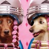The Pink Pawlor Mobile Grooming