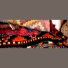 Big Oak Tree Rug Gallery