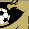 FC Dulles