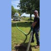 Dynasty Septic