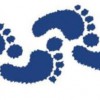 The Podiatry Center