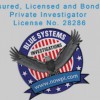 Blue Systems International