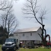 Climb High Tree Service