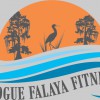 Bogue Falaya Fitness