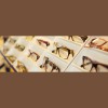 St Johns Eye Care