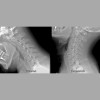 Greenfield Chiropractic