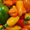 Habanero Fresh Mexican Grill