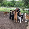 Camp Zoo & Pet Ranch