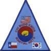 Chi Budo Kwon Martial Arts
