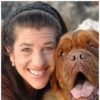 Abigail & Stitch Pet Resort