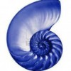 Wealth Management Nautilus