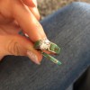Danny's Jewelry Arizona
