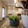 Kenwood Complete Dentistry
