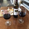 Clearview Vineyard