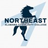 Nacc Salon Institute
