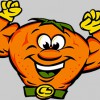 CitruSolution Of Atlanta Carpet Cleaning