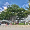 Oahu Tree Works