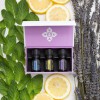 Han Tao Massage Therapy & Esthetics