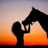 HC Equestrian
