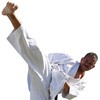 Japan Karate Association