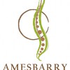 Amesbarry Chiropractic